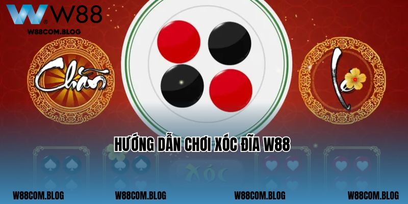 Hướng dẫn chơi xóc đĩa W88 