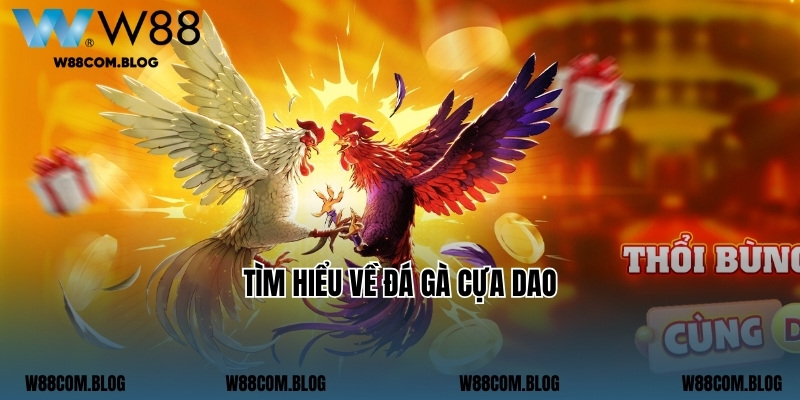 Tìm hiểu về đá gà cựa dao