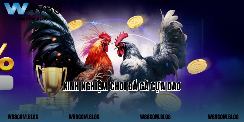 Kinh nghiệm chơi đá gà cựa dao