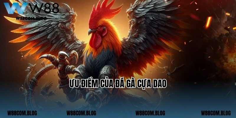 Ưu điểm của đá gà cựa dao